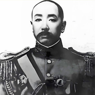 民国直系军阀吴佩孚大帅同款假胡子舞台舞会影视剧话剧表演道具