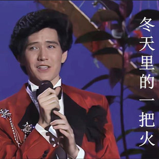 蓬松表演造型 假发帅气阳光时尚 一把火台湾歌手费翔同款 冬天里
