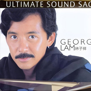 香港歌星林子详同款仿真一字型假胡子舞台舞会派对聚会演出道具