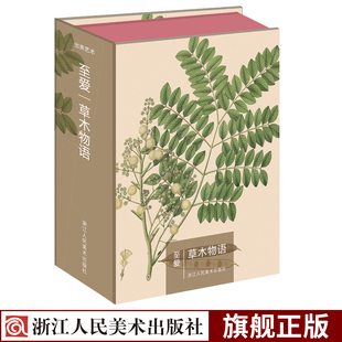 112帧清新唯美名家植物画片作品集 草木物语创意生日贺卡 至爱草木物语 出类艺术明信片 科罗曼岸德海岸植物手绘画集明信片