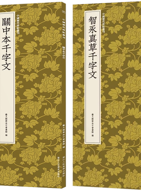 智永草书代表作全套2册 智永真草千字文+关中本千字文 高清原碑帖+近距离临摹可平摊毛笔书法字帖草书入门教材 中国历代碑帖丛刊