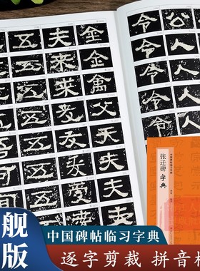 张迁碑字典 中国碑帖临习字典 按偏旁部首归类行书隶书楷书毛笔书法字典工具书 书法爱好者快速掌握字体结构技巧 临摹鉴赏教材书