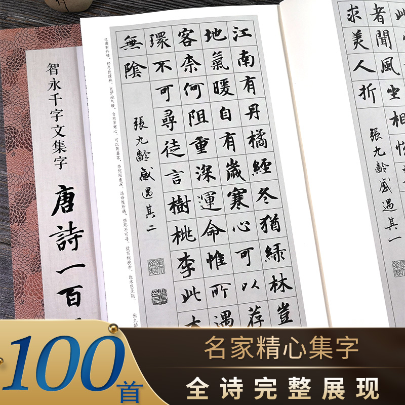 智永千字文集字唐诗一百首 收录智永楷书经典碑帖集字古诗词作品集 毛笔书法字帖初学者入门学习临摹教材 智永楷书千字文集字古诗 书籍/杂志/报纸 书法/篆刻/字帖书籍 原图主图