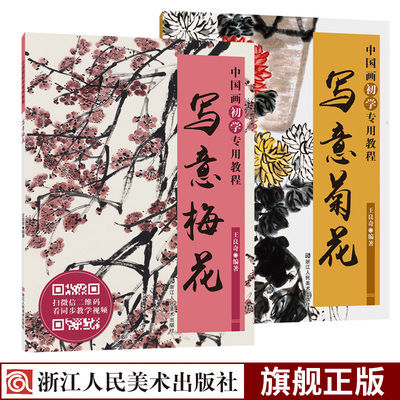 中国画初学专用教程全2册写意菊花/梅花 花卉画临摹技法技巧视频解析初学者花卉绘画基础教程国画学生成人培训班国画入门临摹画册