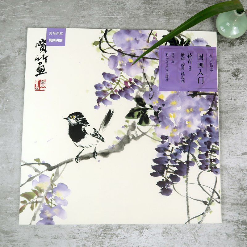 国画入门(花卉3紫藤凌霄) 原大原色临本视频教程 初学者国画入门基础