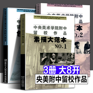 【大8开全套3册】中央美术学院附中留校作品 素描大范本1+素描大范本2+色彩大范本1静物临摹石膏人物头肖像素描速写基础绘画教程