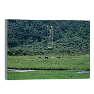 从你的全世界路过 摄影师@潜光28张摄影艺术作品纯净文艺稻城亚丁洗涤心灵 青春文艺小清新装饰旅游风景美丽贺卡文创产品明信片