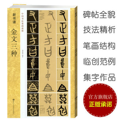 金文三种 毛公鼎/散氏盘/虢季子白盘 新书谱中国书法基础教程 金文大篆学习毛笔书法字帖 成人初学者入门技法练习高清临摹教材书籍