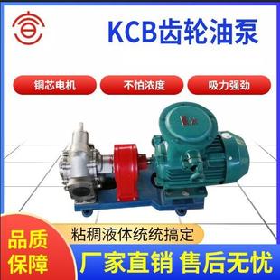 不锈钢防爆齿轮油泵铜叶轮带安全阀齿轮泵 B齿轮油泵2CY卧式
