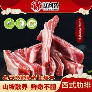 塞尚香右玉羊肉 烤炖羊排 西式肋排 农家无饲料散养土种绵羊2000g