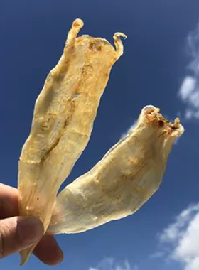 嗨动力南澳野生金龙鱼胶孕妇月子滋补鱼鳔 本港深海花胶干货正品