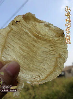 嗨动力正宗野生红鸡赤嘴鳘鱼胶孕妇月子滋补深海花胶干货正品100g
