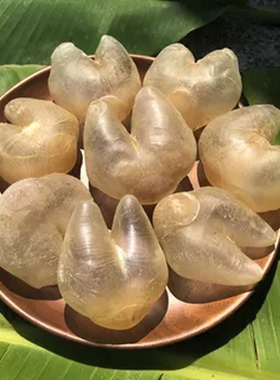 嗨动力缅甸鸡泡胶鱼胶干货正品女人增膜养宫备孕花胶龟刺胶