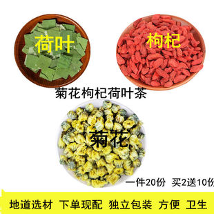 菊花枸杞荷叶茶菊花茶枸杞子荷叶一件20包包邮天然农产品