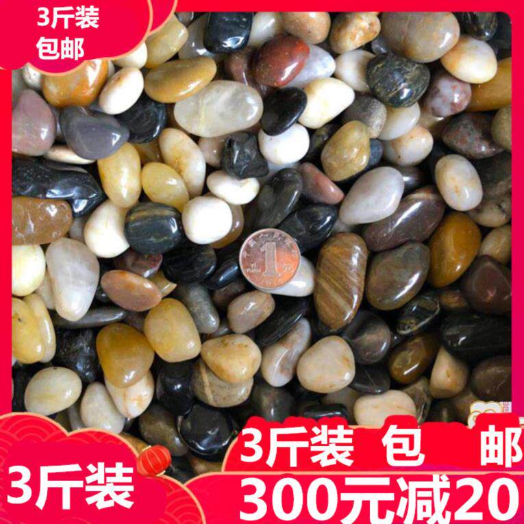 浴室水池水族箱造景石头花园水培大号户外五彩观赏鱼缸小石子地面|ruв категории доставка цветов/цветок моделирования/растения садоводства, садовых принадлежностей, других садовых принадлежностей - от Buy2taobao.com для оказания профессиональной услуги покупки агента Taobao