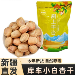 库车小白杏干新疆特产天然晒干手工挑选树上小白杏干吊干一杏两吃