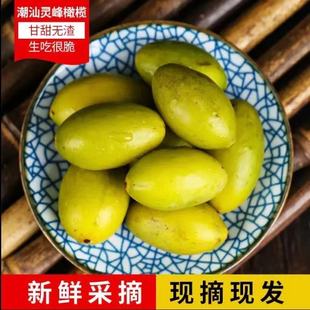 潮汕甜种灵峰青橄榄果龙峰现摘送礼凌峰橄榄新鲜生吃孕妇水果