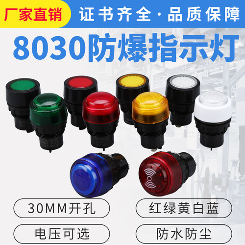 bd8030防爆信号灯开孔