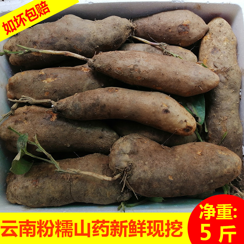 云南新鲜糯米山药现挖5斤粉糯淮山药农家自种高原蔬菜包邮非铁棍