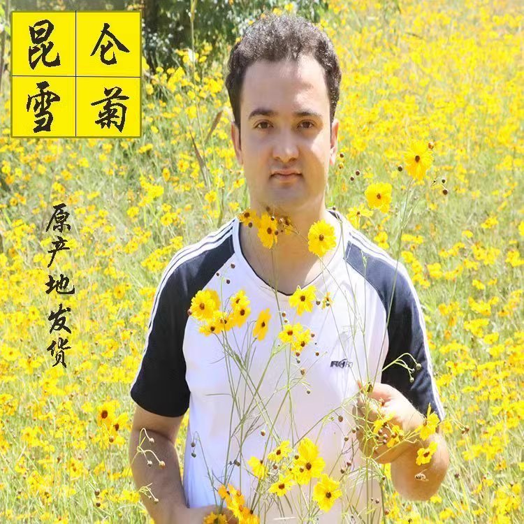 新疆和田昆仑雪菊花茶精选雪菊花正品高原雪菊花100g包邮玉都阿祖