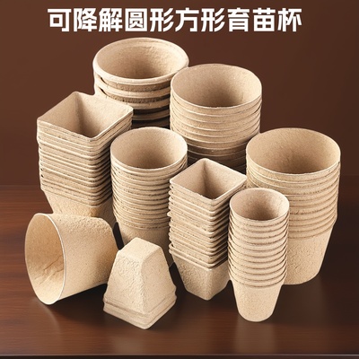 一次性可降解纸浆育苗杯圆形方形