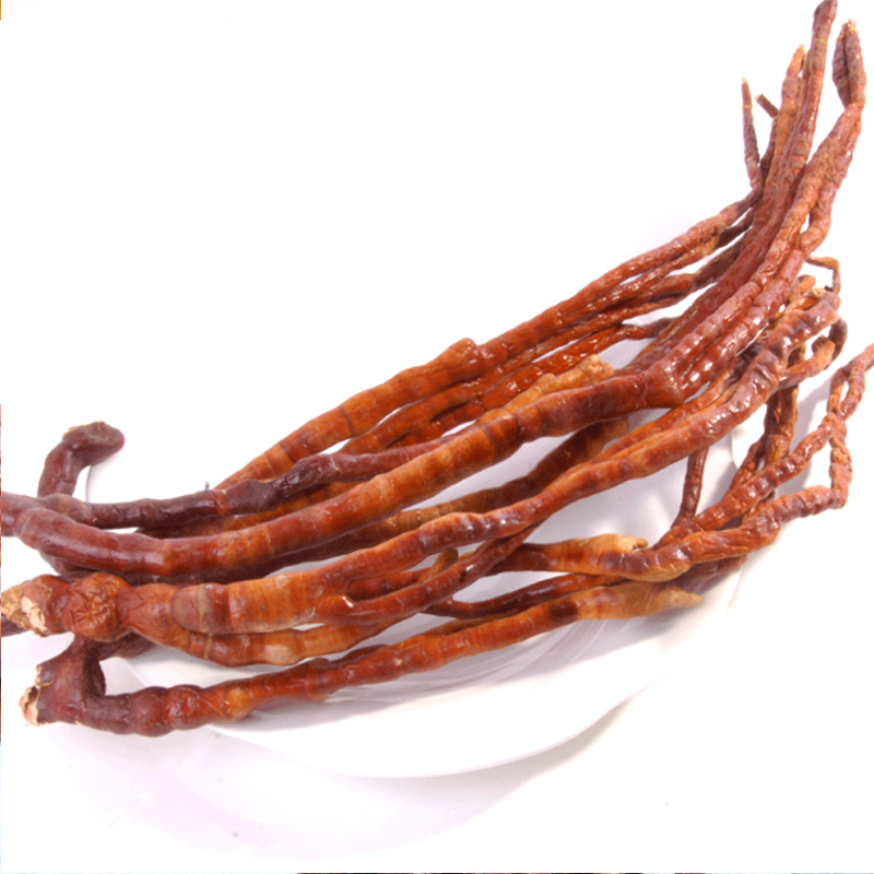 野生林芝草西藏特产250g 藏佛手灵芝鹿角草泡酒炖汤精品中药材