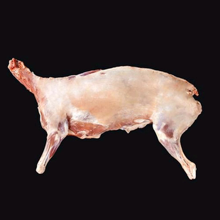 山羊排山羊后腿半只羊腔无水现杀新鲜不冷冻 本地山羊顺丰包邮