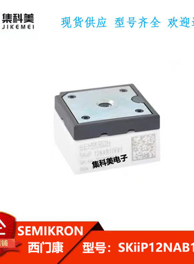 SKIIP13NAB065V1 SKIIP12NAB12T4V1 SKIIP12NAB126V1 13NAB065V1