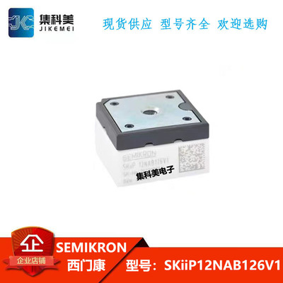 SKIIP13NAB065V1 SKIIP12NAB12T4V1 SKIIP12NAB126V1 13NAB065V1