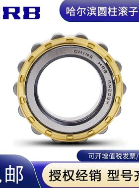 HRB哈尔滨轴承减速机RN 304 305 306 307 308 309 310 311 312 M