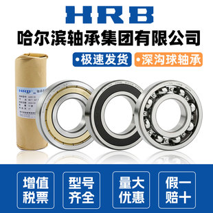 6002 6007哈轴 HRB哈尔滨轴承正品 6001 6005 6006 6004 6000 6003
