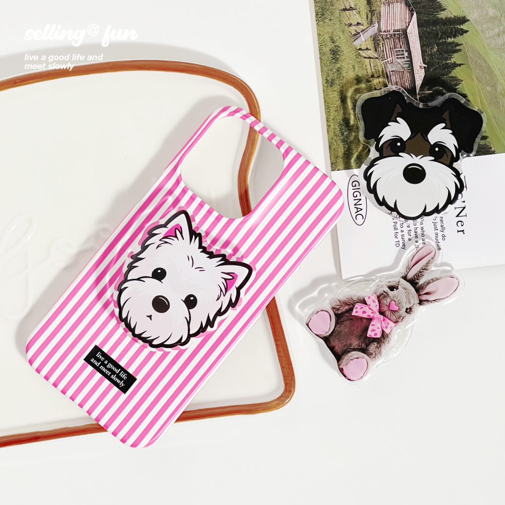 苹果14promax菲林二合一小众原创