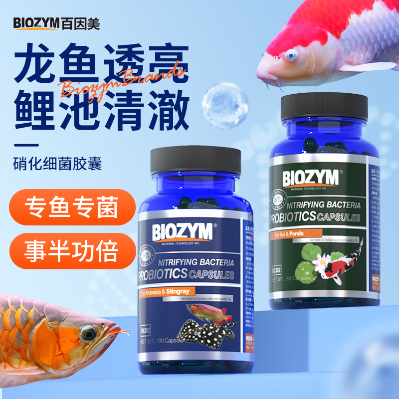 百因美硝化细菌胶囊龙鱼锦鲤专用