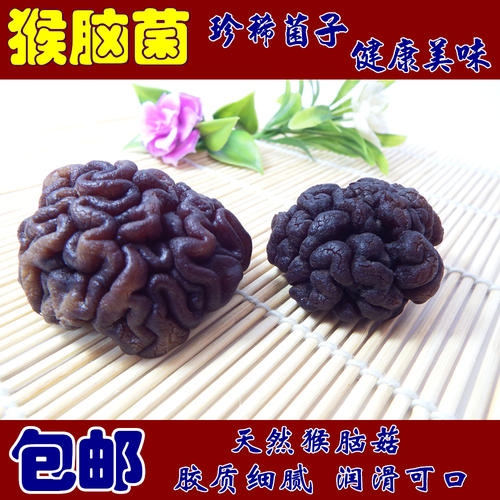 一斤核桃猴脑咖菌磨菇100g