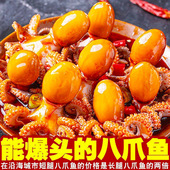 捞汁香辣爆头八爪鱼宿舍即食小吃扇贝海兔生蚝鱿鱼须麻辣零食罐头