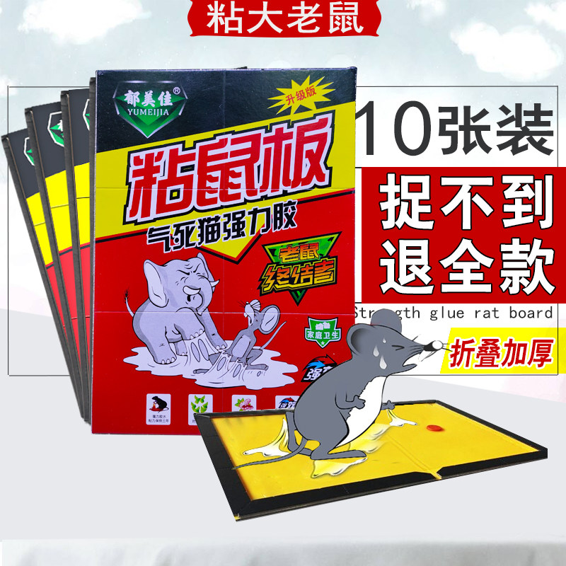 粘鼠板家用强力10片装粘大老鼠贴抓鼠捉鼠捕鼠神器老鼠夹灭鼠胶
