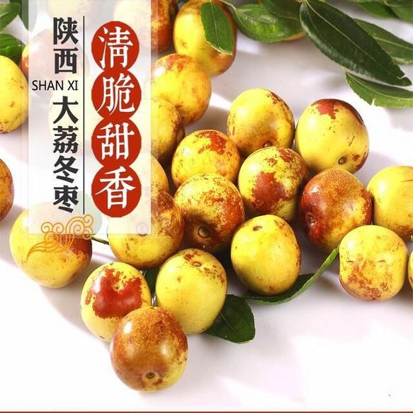 陕西大荔冬枣现货新鲜红枣脆甜枣产地直发现摘有机富硒一级大果5J