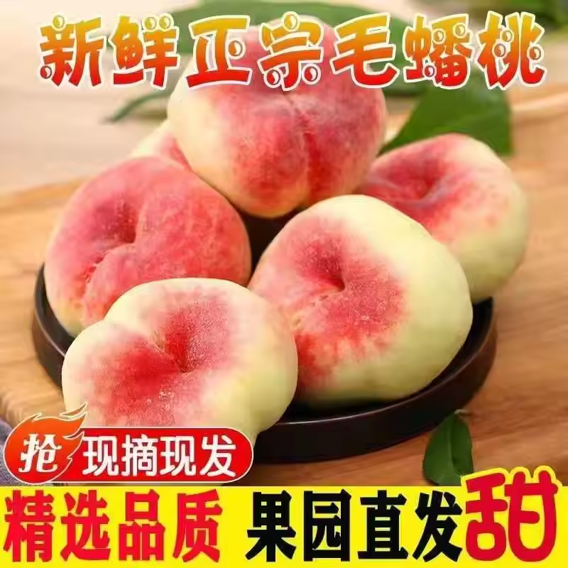 现摘陕西大荔蟠桃水蜜桃子当季应季新鲜水果农家自种自然熟大果5J