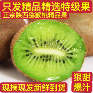 徐香猕猴桃奇异果周至礼盒装高端上档次现摘大果送礼品质超甜无酸