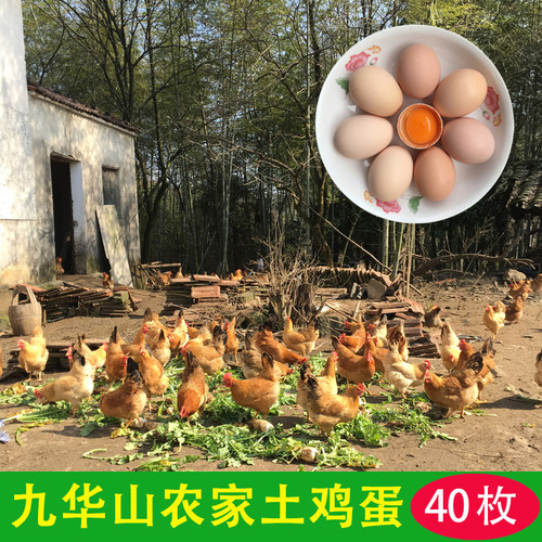 九华山土鸡蛋农家散养五谷蛋40枚