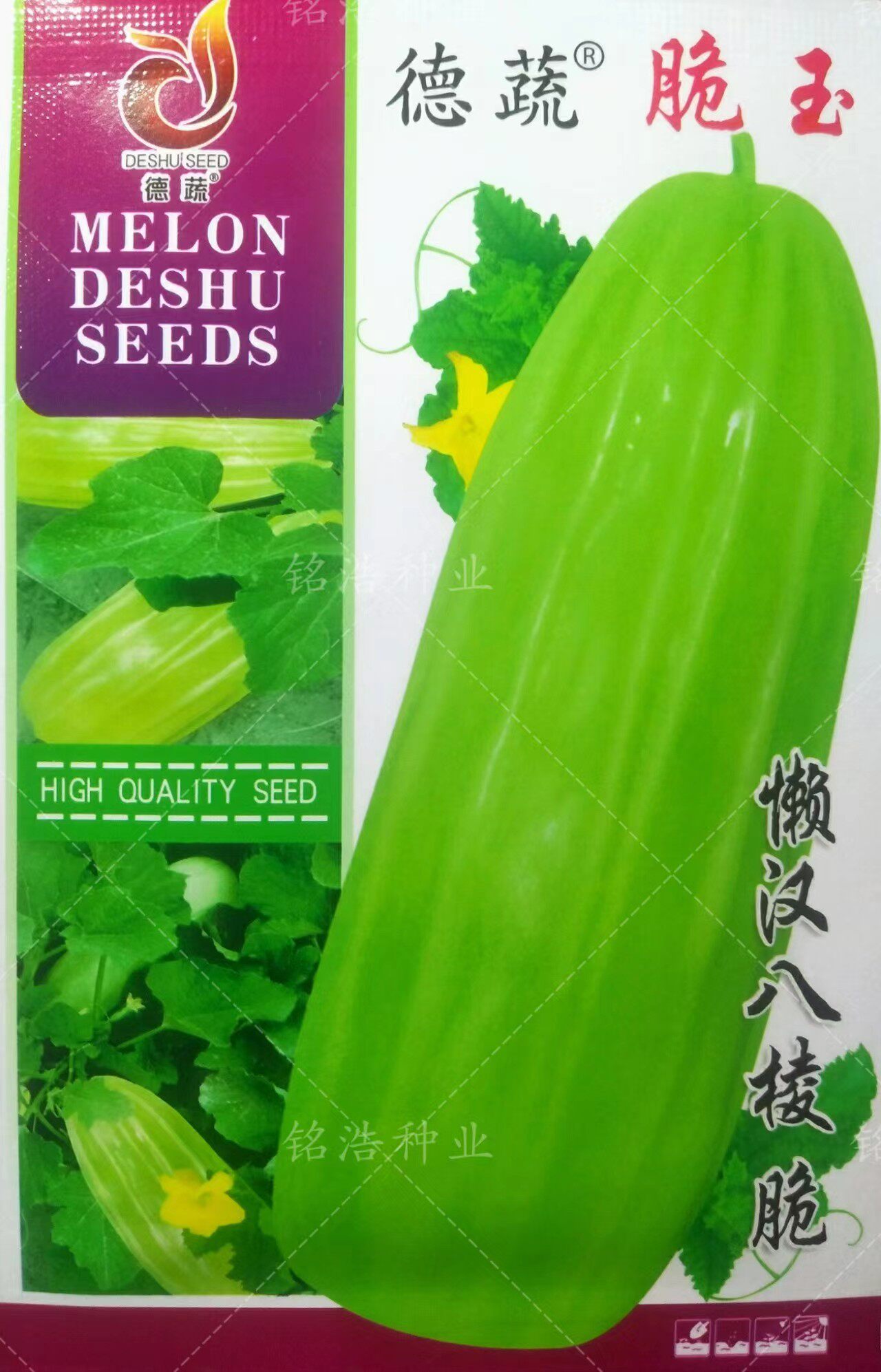 脆玉脆瓜种子菜瓜捎瓜籽早熟一窝猴种籽四季蔬菜农家生吃水果包邮