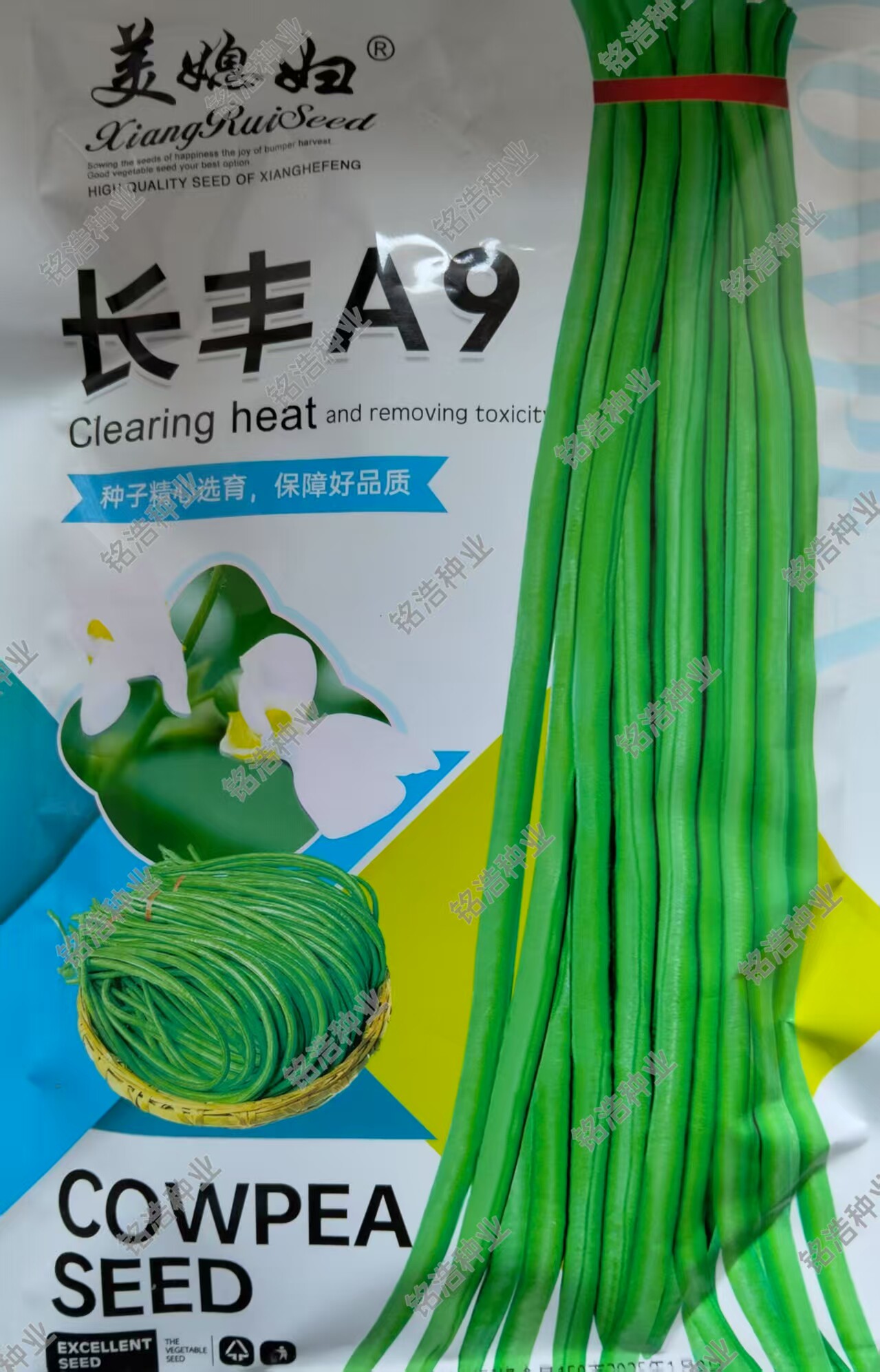 特长翠绿条高产抗病肉厚豇豆种子春夏秋播豆角种籽蔬菜种孑长丰A9