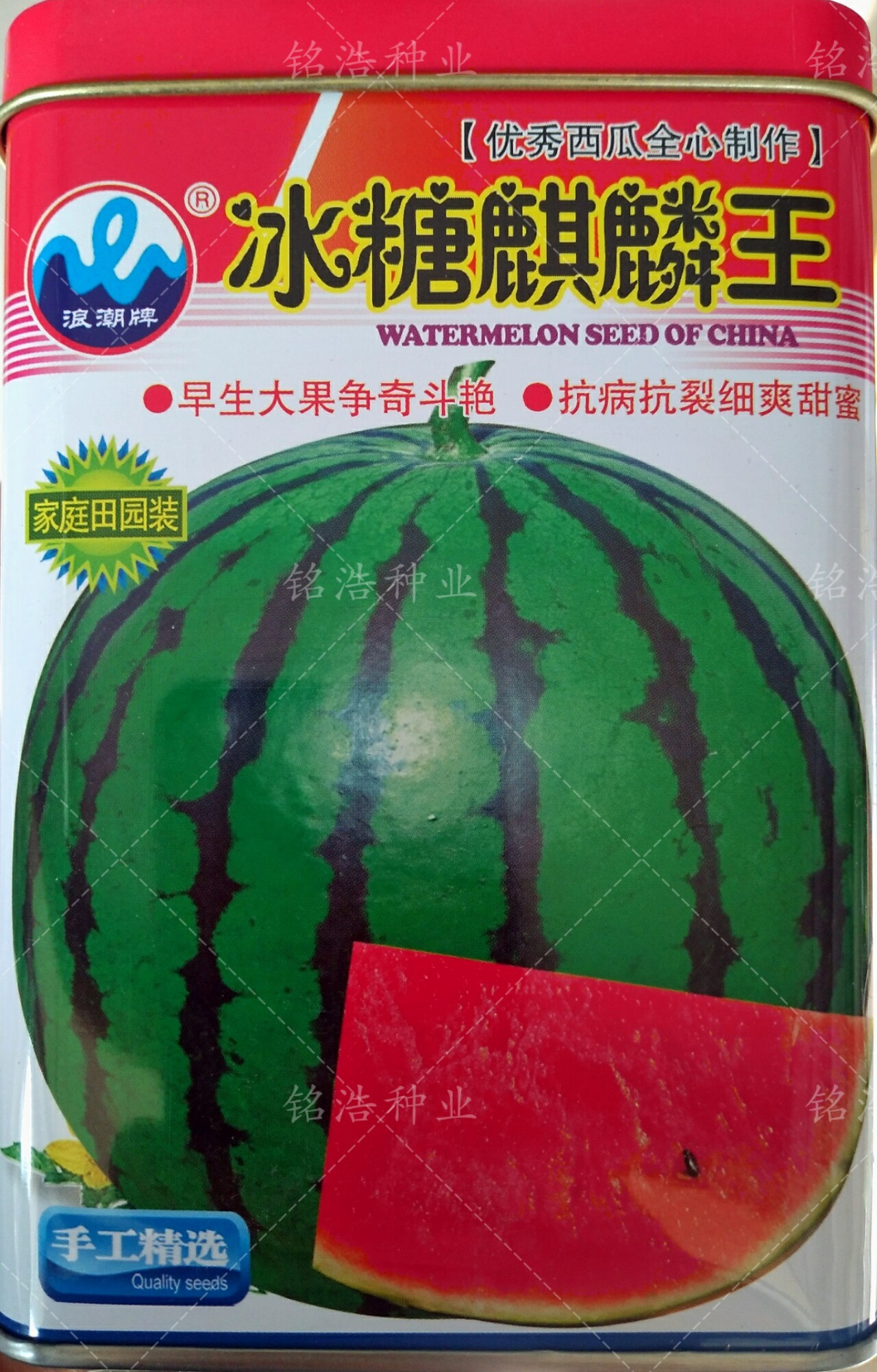 画皮红瓤早熟高产杂交