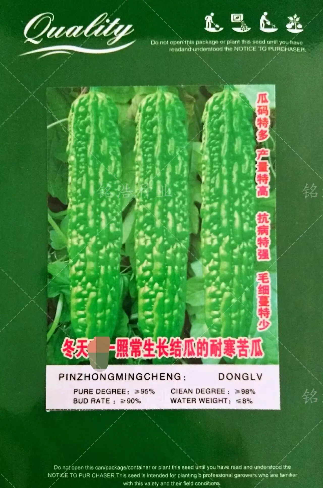 早熟蔬菜种子疙瘩绿苦瓜籽四季耐寒耐低温抗病强杂交苦瓜种孑冬绿