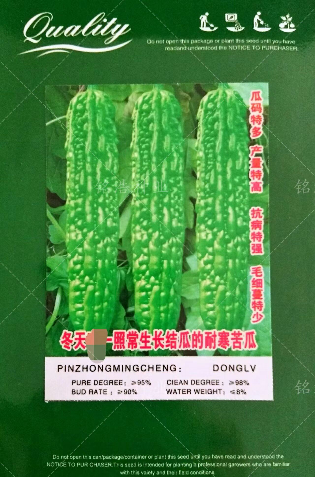 早熟蔬菜种子疙瘩绿苦瓜籽四季耐寒耐低温抗病强杂交苦瓜种孑冬绿