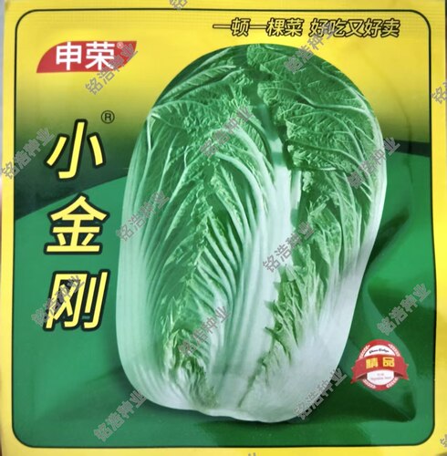 籽结球紧实外叶深绿抗病