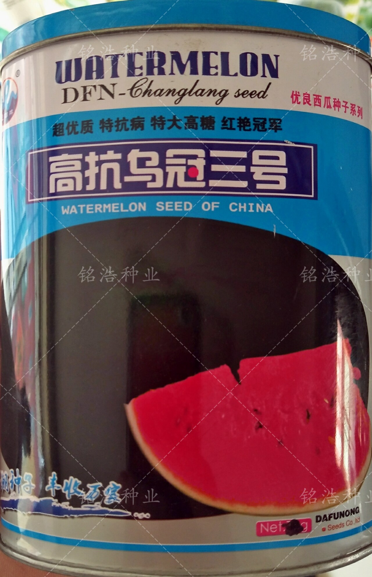 大果型黑皮红瓤西瓜种子