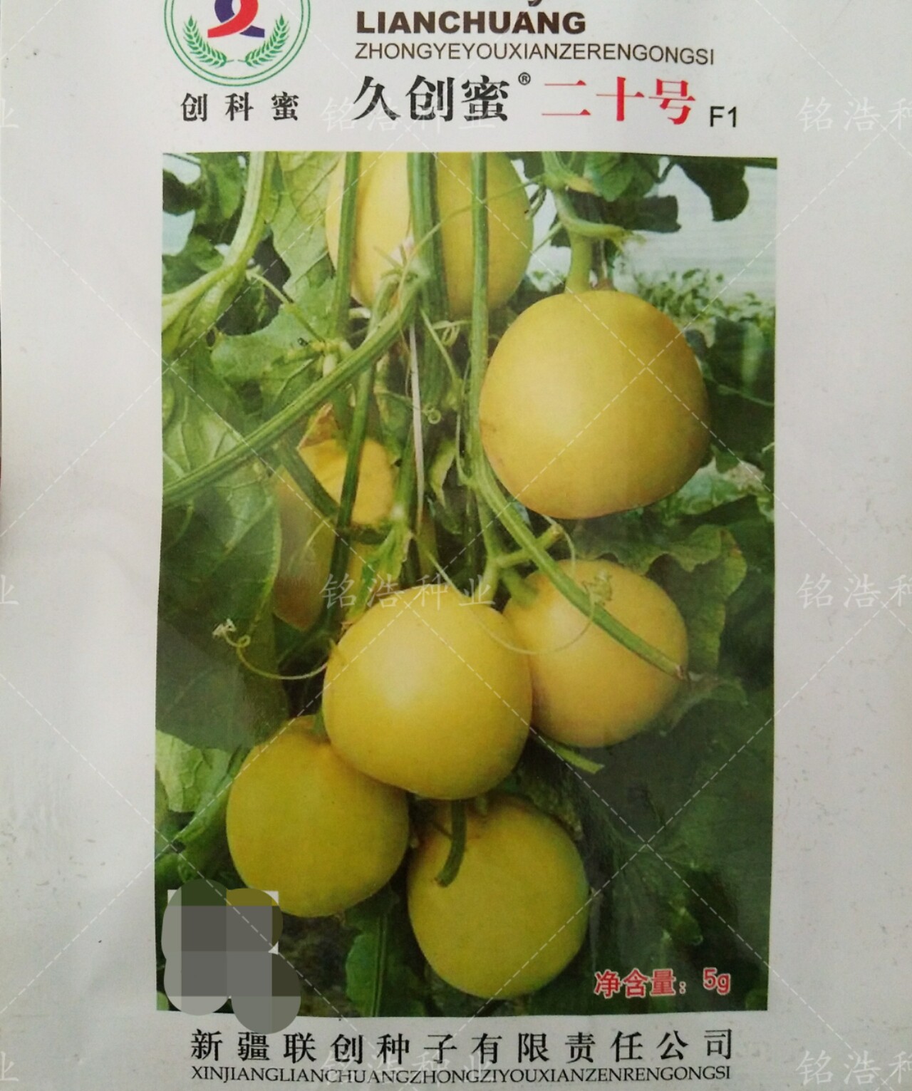 久创蜜二十号甜瓜种子春季大棚露地早熟高糖香瓜籽农家阳台盆栽孑