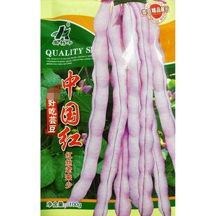 浅红架芸豆种子孑紫豆角籽四季豆种高产春秋季蔬菜农家田园中国红