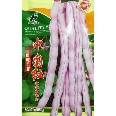浅红架芸豆种子孑紫豆角籽四季豆种高产春秋季蔬菜农家田园中国红